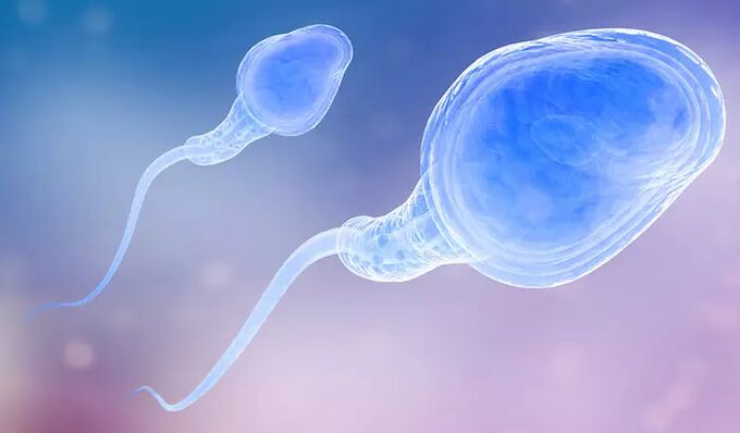 精子可能存在于男性的射精前