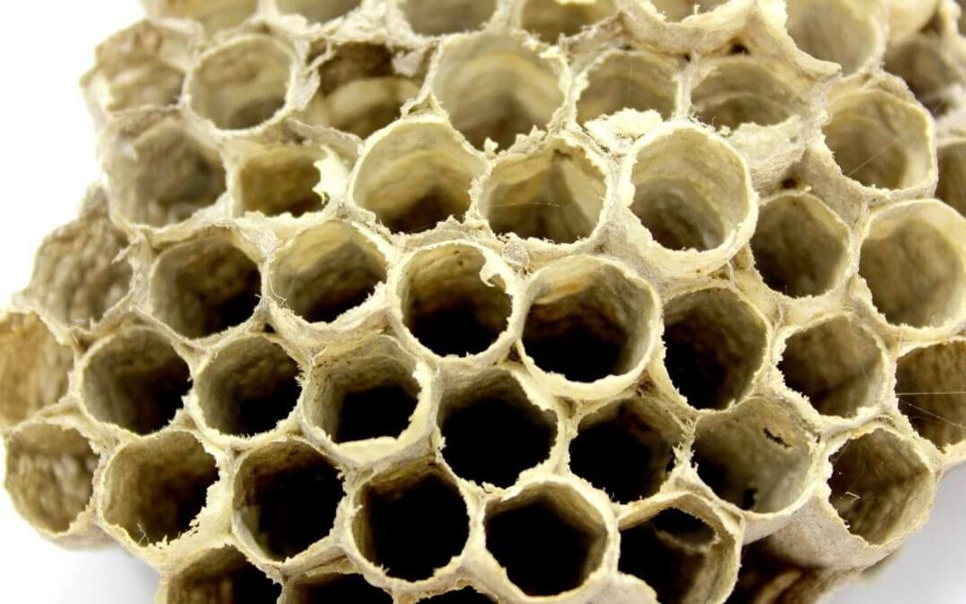 蜂胶增加效力